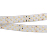 Лента светодиодная RT 2-5000 24V Cool 8K 3x2 (2835, 1260 LED, LUX) (Arlight, 27 Вт/м, IP20)